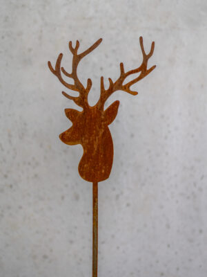 Hirsch Kopf