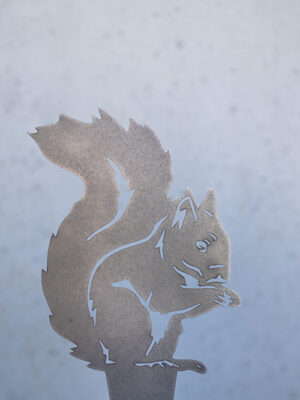 Eichhörnchen Lotte