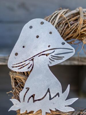Fliegenpilz 1