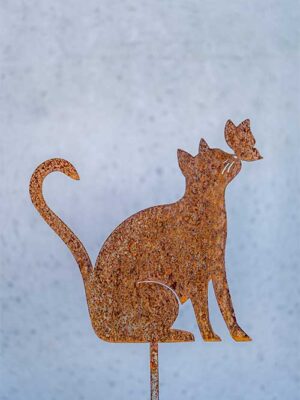 Katze Einstein mit Schmetterling auf Nase