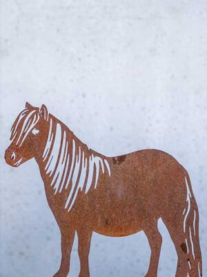 Pferd Anni