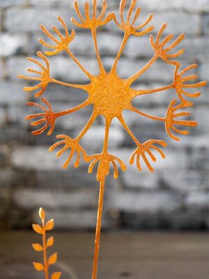 Pusteblume