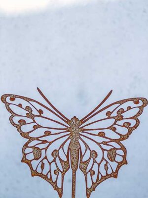 Schmetterling Flick