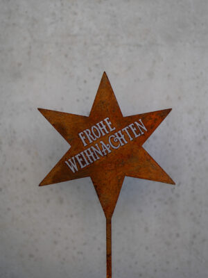 Stern Fröhliche Weihnachten